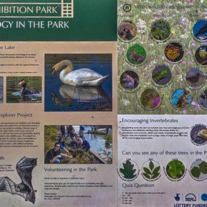 Ecology in the Park