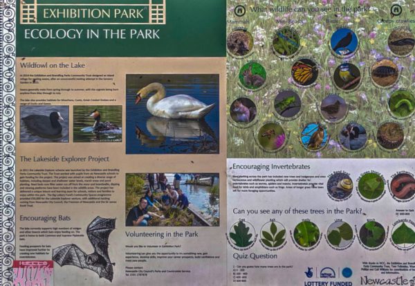 Ecology in the Park